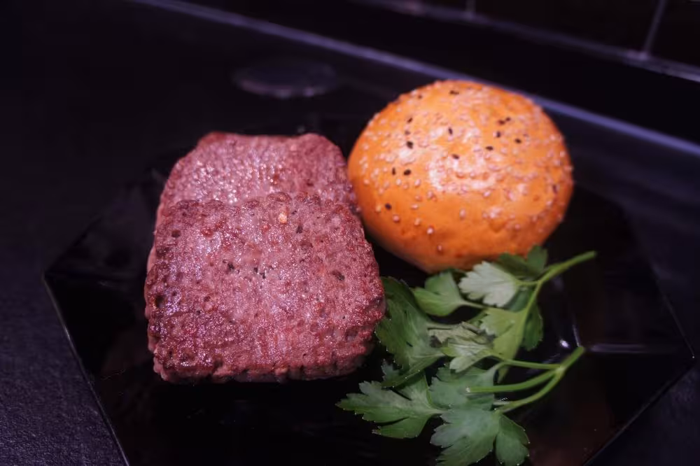 dry aged beef burger