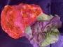 Schweinehalssteak mit Grillbutter-Marinade
